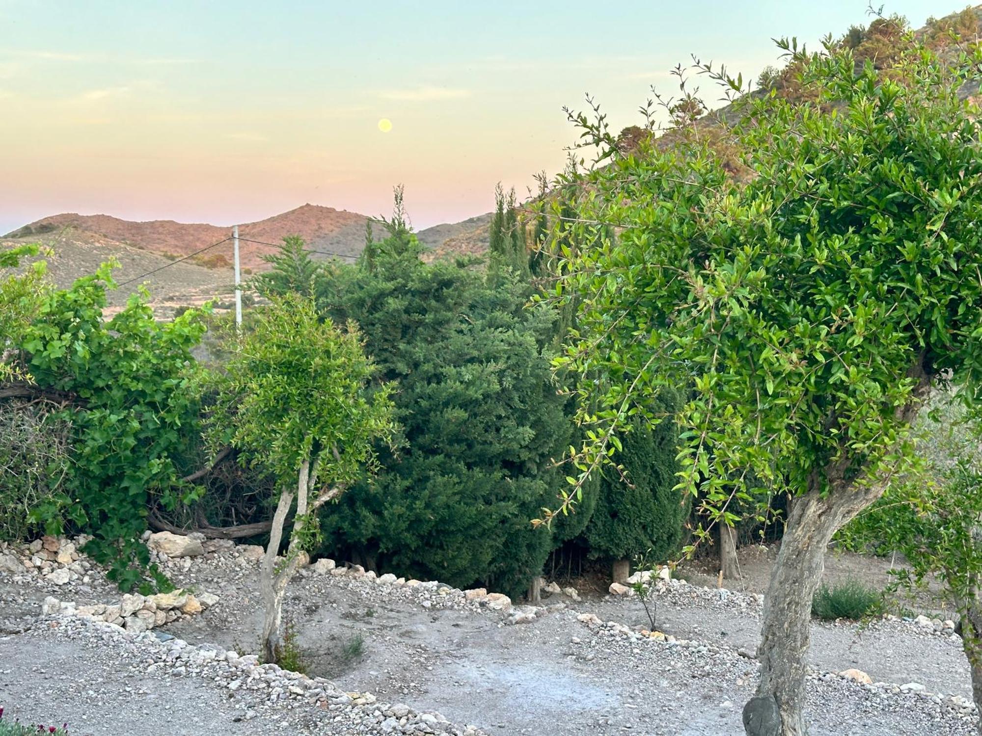 Finca Ocha - Calblanque Los Belones Exteriér fotografie