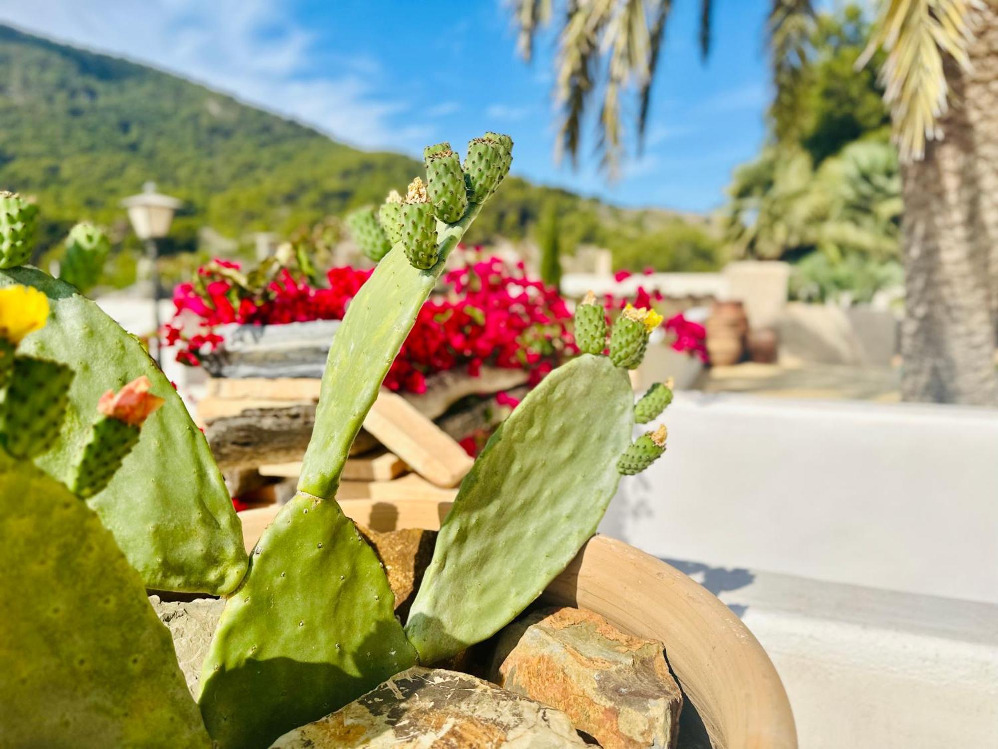 Finca Ocha - Calblanque Los Belones Exteriér fotografie