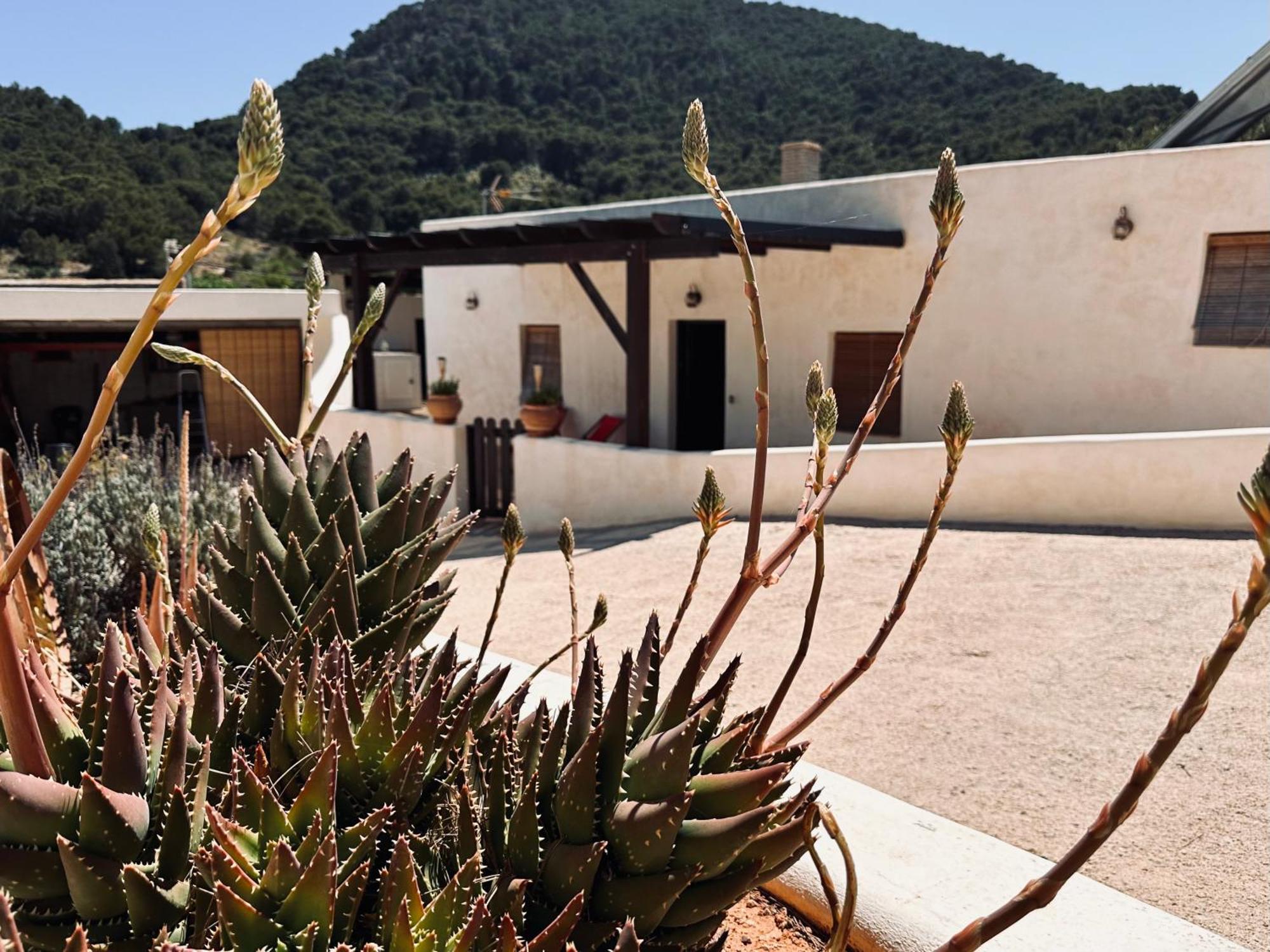 Finca Ocha - Calblanque Los Belones Exteriér fotografie